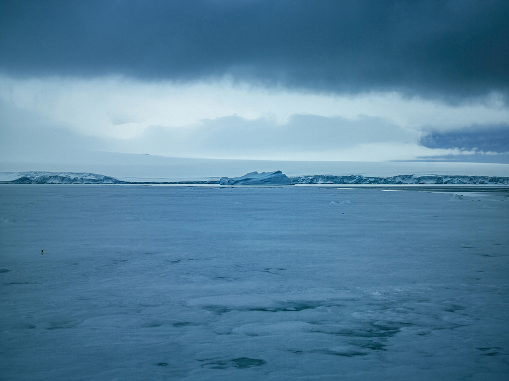 18 South Shetland Island, 2010.jpg